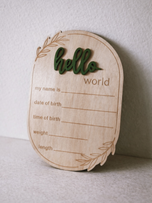 hello world plaque