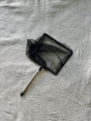 debris net home birth