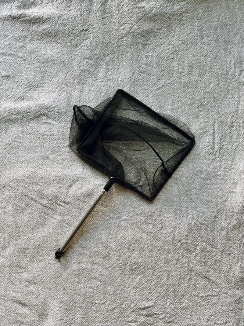 debris net home birth