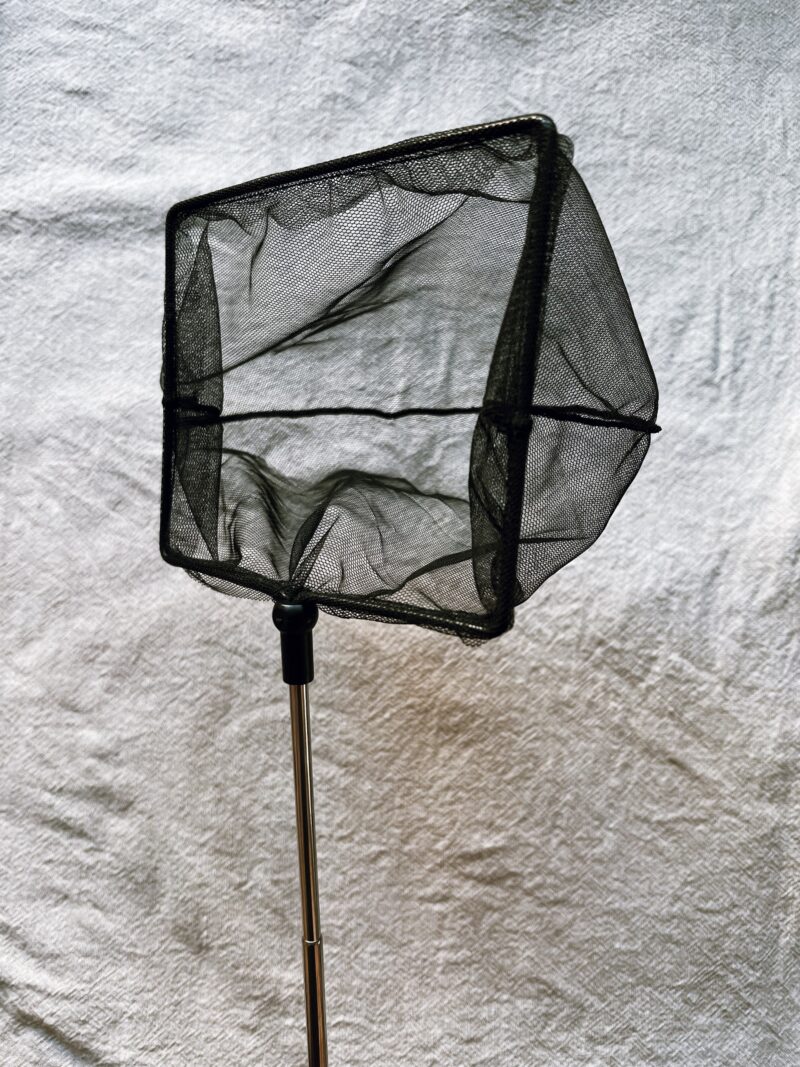 Water Birth Net - Image 2