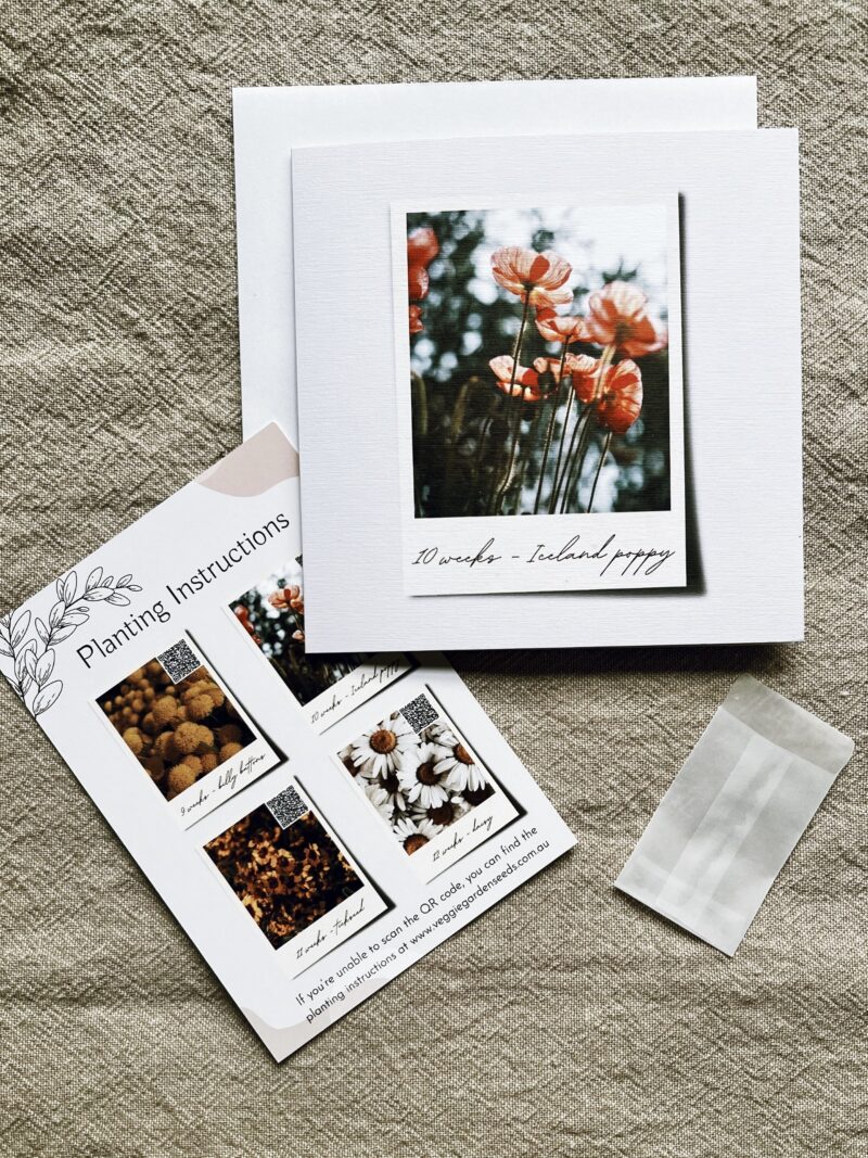 "Plant me a flower" Pregnancy Loss Cards with Symbolic Flower Seeds - Image 6