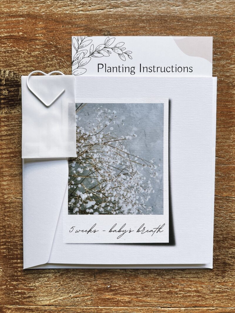 pregnancy loss gift
