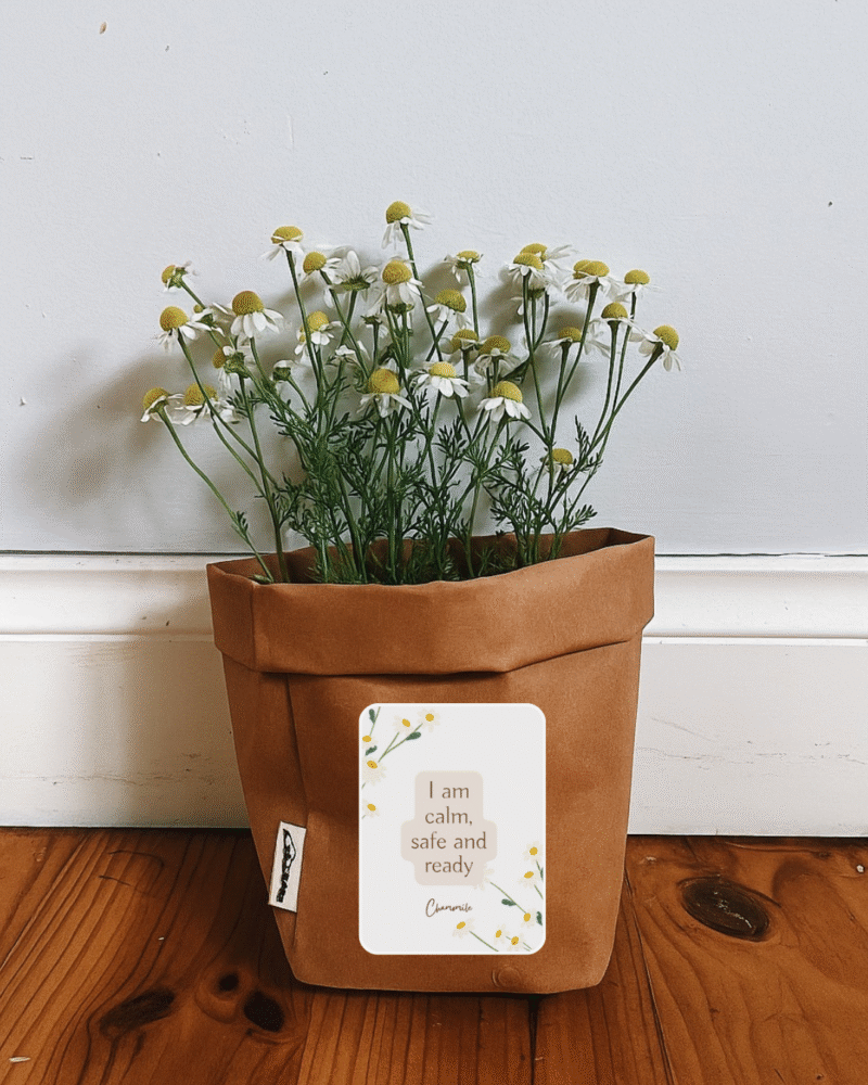the birth blooms kit
