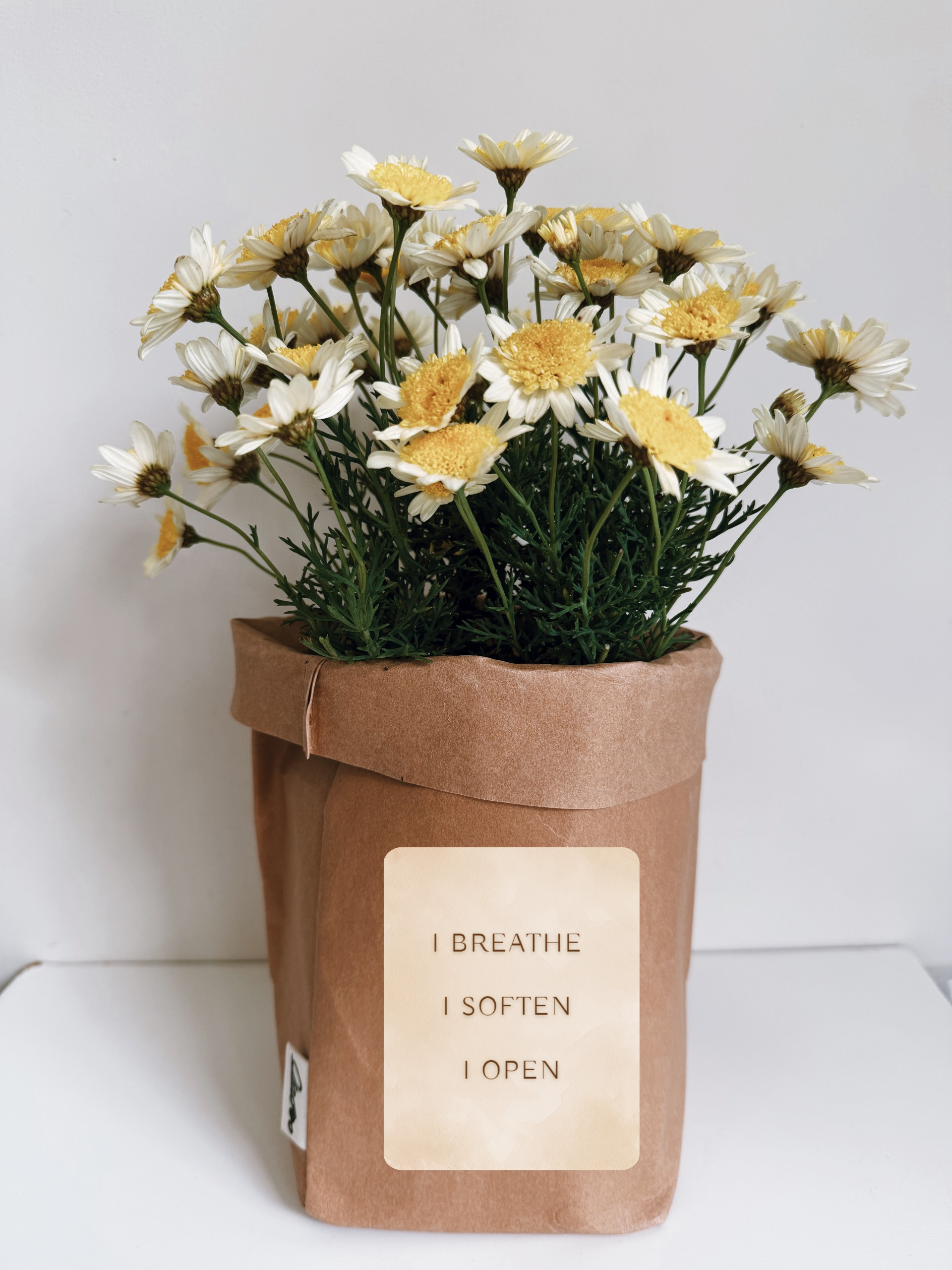 The Birth Blooms Kit - Image 3