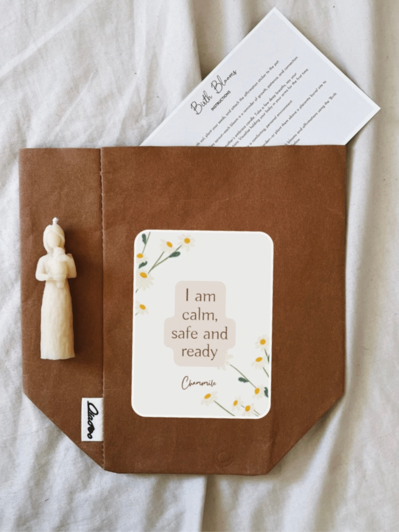 the birth blooms kit